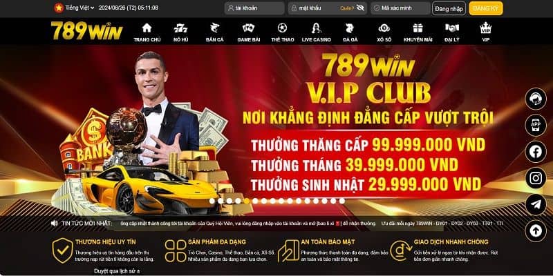 Sơ lược thông tin về sân chơi uy tín 789WIN